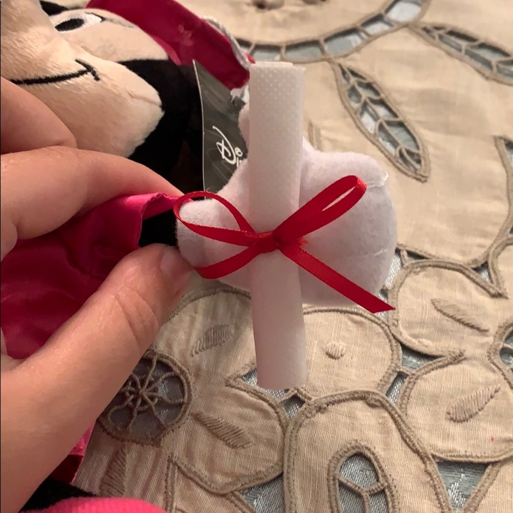 TAKING 1ST OFFER: Minnie Mouse "Graduate" Plush - Picture 7 of 7